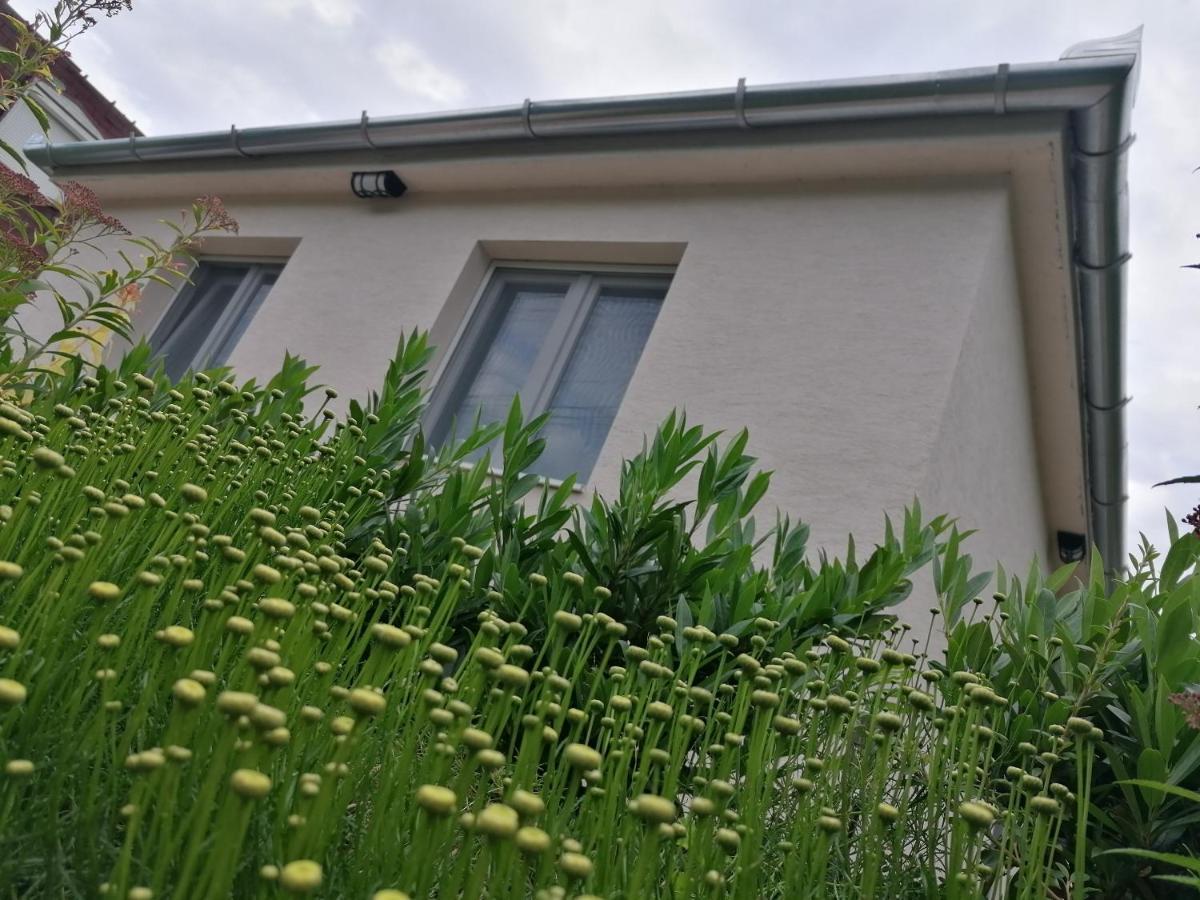 Levélke Mini Apartman Gárdony Extérieur photo